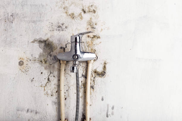 Best Water Damage Restoration  in Longview Heights, WA