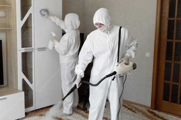 Best Toxic Mold Removal  in Longview Heights, WA