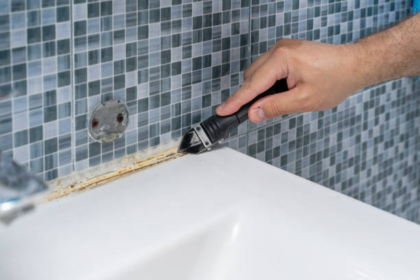 Best Home Mold Removal  in Longview Heights, WA