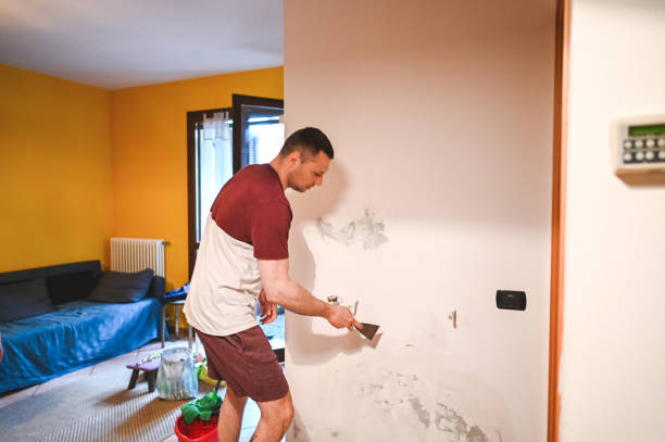 Best Best Mold Removal Companies  in Longview Heights, WA